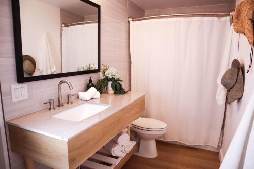 La salle de bains est pourvue d'un lavabo, de toilettes et d'un miroir. dans l'établissement The Surfbreak Hotel, à San Clemente