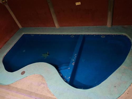 a small frog sitting in a pool of water at Hotel Real Jojutla in Jojutla de Juárez