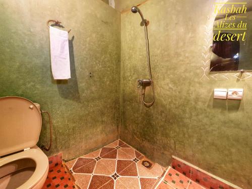 a bathroom with a toilet and a shower at Kasbah Les Alizes Du Desert in Mhamid