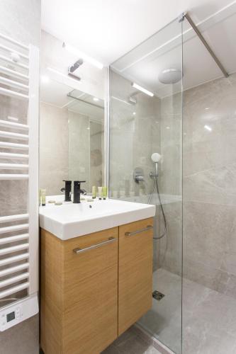 une salle de bain avec un lavabo et une douche dans l'établissement Luxury loft in paris, à Paris