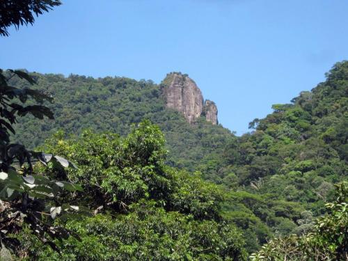 Apartamento na floresta, Rio De Janeiro, Brazil