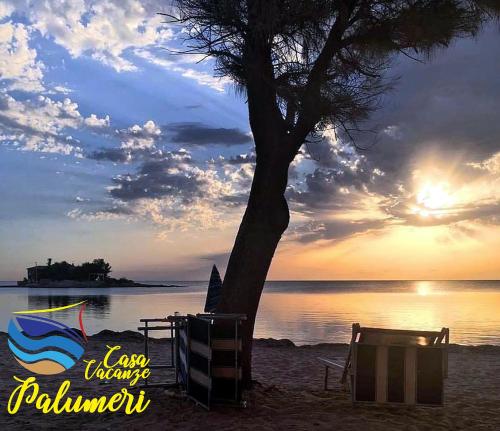 a tree on the beach with the sun setting at Casa I Sogni In Terrazzo in Marzamemi