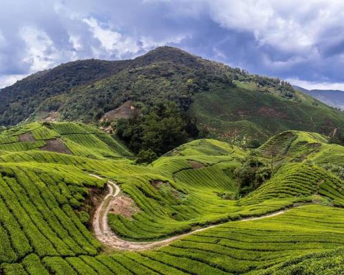 Příroda nedaleko apartmánu