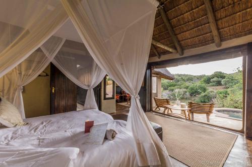 a bedroom with a bed and a view of a pool at Safari Lodge - Amakhala Game Reserve in Amakhala Game Reserve