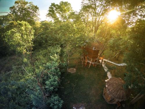 an overhead view of a garden with the sun shining through the trees at La Pentera in Hambegamuwa