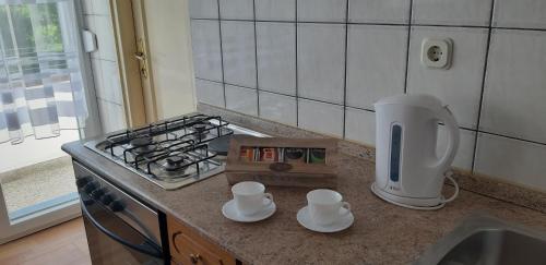 a kitchen with a counter top with a stove and cups at Apartment Ivana in Gospić