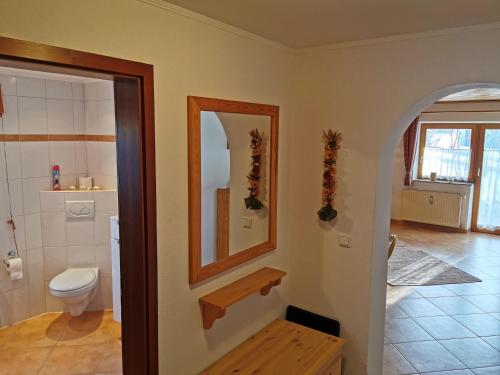 a bathroom with a toilet and a mirror at Ferienhaus-Haidweg-Wohnung-1 in Haidmühle