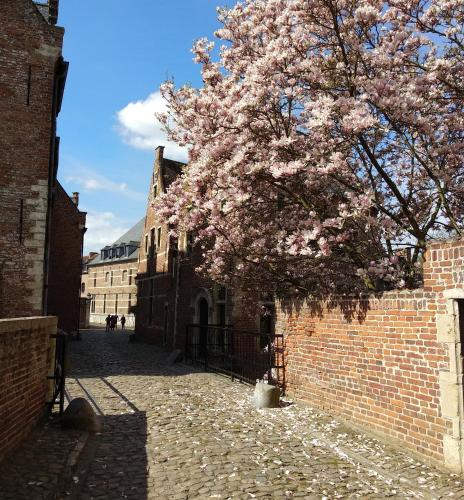 a tree with pink flowers on a brick alley at Begijnhof Hotel in Leuven