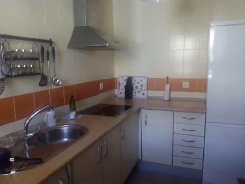 Küche/Küchenzeile in der Unterkunft PUERTA MARINA