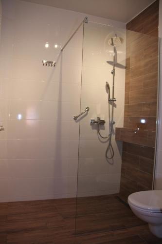 a bathroom with a glass shower with a toilet at Hotel Przylesie in Sierosław