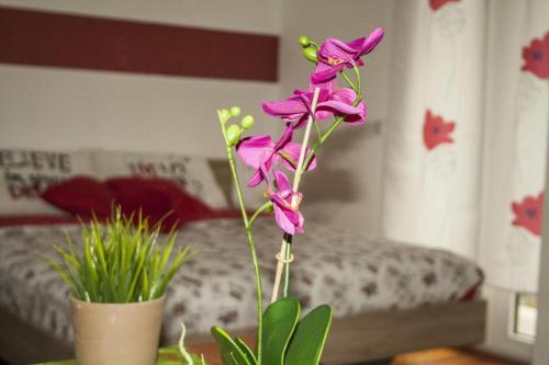 un fiore viola in una stanza con un letto di Apartment BELLA VISTA a Bolzano
