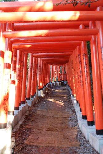 a row of orange torii gates in a temple at Town Hotel 41 in Kanazawa