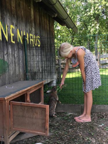 a woman is petting a cat in a cage at Rutarhof in Rosegg
