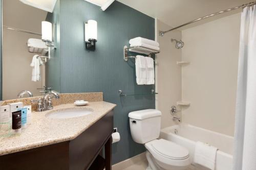 a bathroom with a toilet and a sink and a shower at Crowne Plaza Crystal City-Washington, D.C. by IHG in Arlington