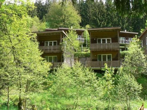 a large wooden house in the middle of trees at Ferienhaus Bad Hundertpfund Typ A in Großbreitenbach