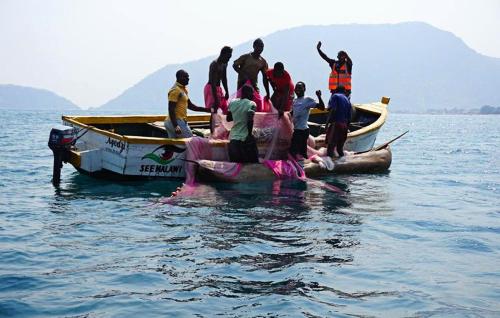 Imagen de la galería de Mgoza Lodge, en Cape Maclear