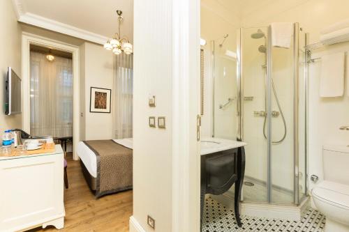 a bathroom with a shower and a sink and a toilet at Meroddi Galata Mansion in Istanbul