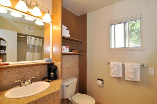 a bathroom with a sink and a toilet and a mirror at Pelican Inn in Monterey