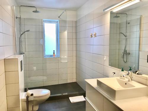 ein Badezimmer mit einem Waschbecken, einem WC und einem Spiegel in der Unterkunft Apartment Tungata in Seyðisfjörður