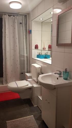 ChoczewoにあるKościuszki pokojeのバスルーム(トイレ、洗面台、シャワー付)