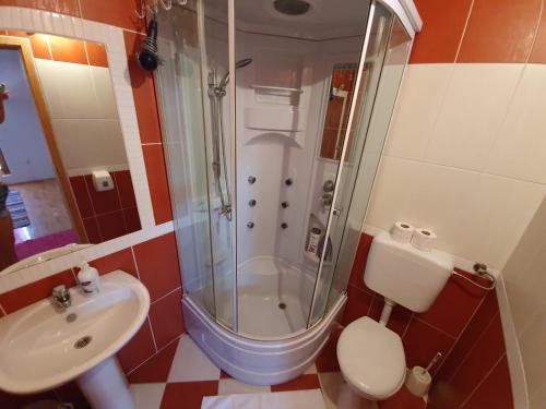 a bathroom with a shower and a toilet and a sink at Villa Velagic in Blagaj