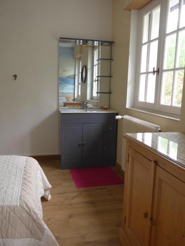 a bathroom with a sink and a mirror at Azuré Chambres d'hôtes in Orgeval