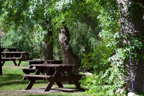 a picnic table and benches in a park with trees at Adelaide Brownhill Creek Tourist Park in Adelaide