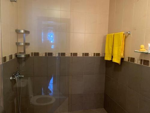 a bathroom with a glass shower with a sink at Orchidea 1 Bedroom Apartment in Sofia