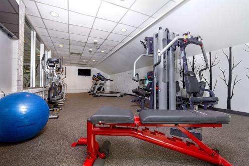 a gym with tread machines and an exercise ball at Holiday Inn Estes Park by IHG in Estes Park
