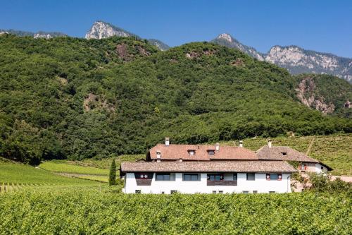 a house in a vineyard with mountains in the background at Apartments Seewinkel in Caldaro