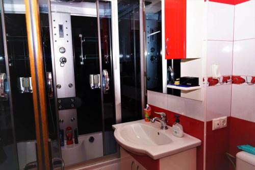 a bathroom with a sink and a shower at Home away from home in Petrila