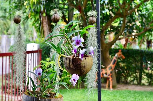 two potted plants are hanging from a pole at Sean Sabai Home e Ristobar in Taling Ngam Beach