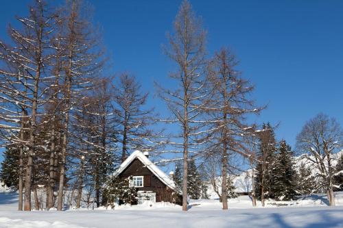 a small cabin in the snow with trees at Hotel Arvenbüel in Amden