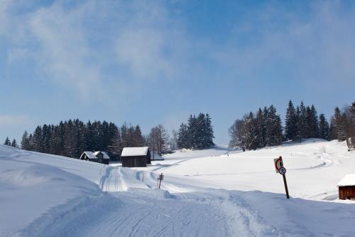 a snow covered field with trees and buildings at Hotel Arvenbüel in Amden