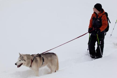 a man walking a dog in the snow at Hotel Arvenbüel in Amden