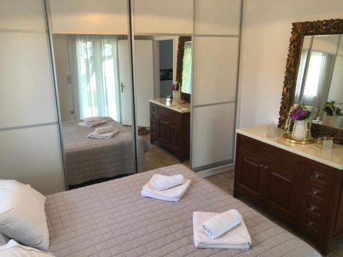 um quarto com uma cama e um espelho grande em Αgrilitsa House em Vasilítsion