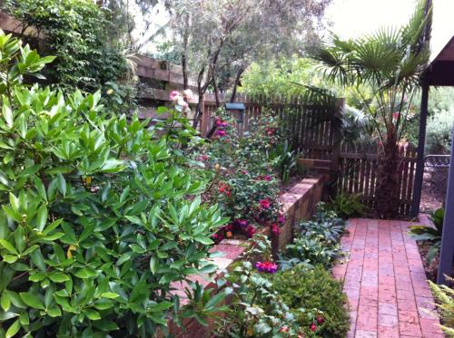 a garden with flowers and a brick pathway at Bungunyah Apartments in Croydon