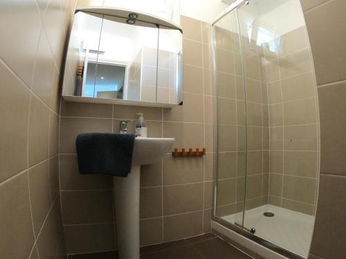 a bathroom with a sink and a mirror and a shower at LA TERRASSE DE SAINT-JEAN in Ajaccio