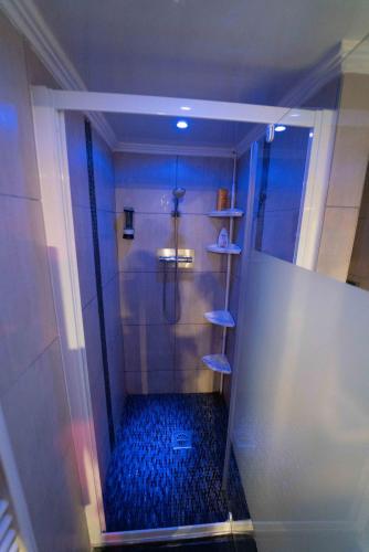 La salle de bains est pourvue d'une douche et de sols bleus. dans l'établissement love love 23, à Villeurbanne