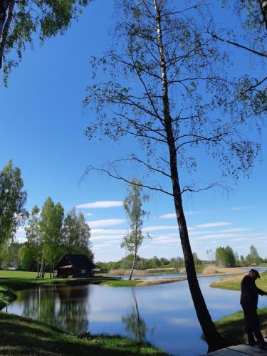 a man standing next to a lake with a tree at Sodyba Vieversynė in Duokiškis