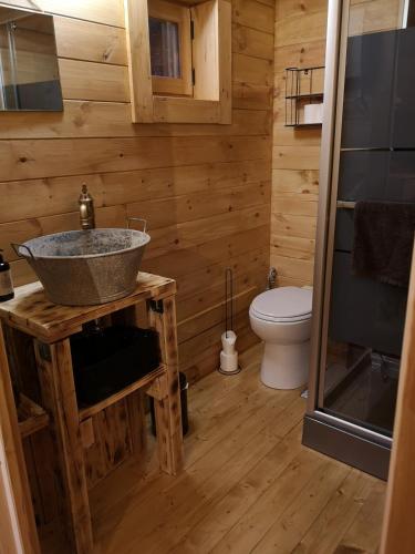 une salle de bain avec un lavabo et des toilettes dans l'établissement La cabane des Pachous, à Tourves