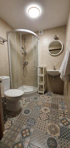 a bathroom with a shower and a toilet and a sink at Dom Na Bukowym Wzgórzu in Międzyzdroje