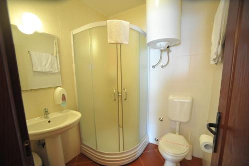 a bathroom with a shower and a toilet and a sink at Brankov Konak in Niš