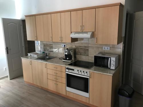 Dapur atau dapur kecil di Nice Big House