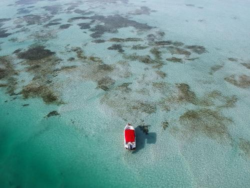 a boat in the water in the ocean at The Perry Hotel & Marina Key West in Key West
