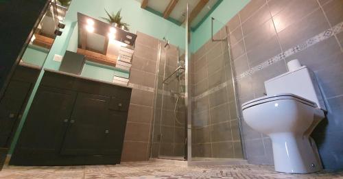 ein Bad mit WC und Dusche in der Unterkunft Bed and Breakfast au Champ du Douits in Saint-Agnan-le-Malherbe