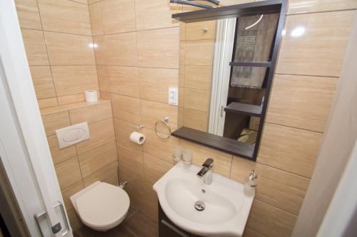 a bathroom with a sink and a toilet and a mirror at M7 Galéria Panzió in Letenye