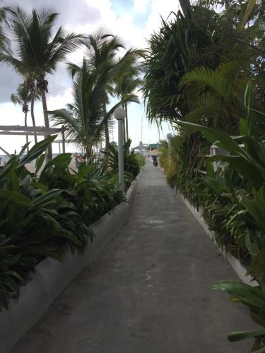 einen Weg mit Palmen am Strand in der Unterkunft TERRAZAS DEL CARIBE, APARTA HOTEL. in Santo Domingo