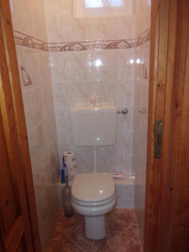 a bathroom with a toilet and a sink at Balaton Holiday in Fonyód