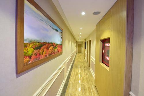 a hallway of a hospital with paintings on the walls at Inanlar Garden Hotel & Bungalow in Uzungol